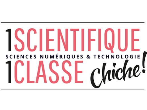 Logo du programme Chiche !