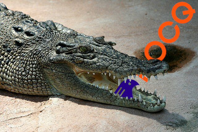 crocqo
