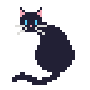 profile picture, a pixelated black cat